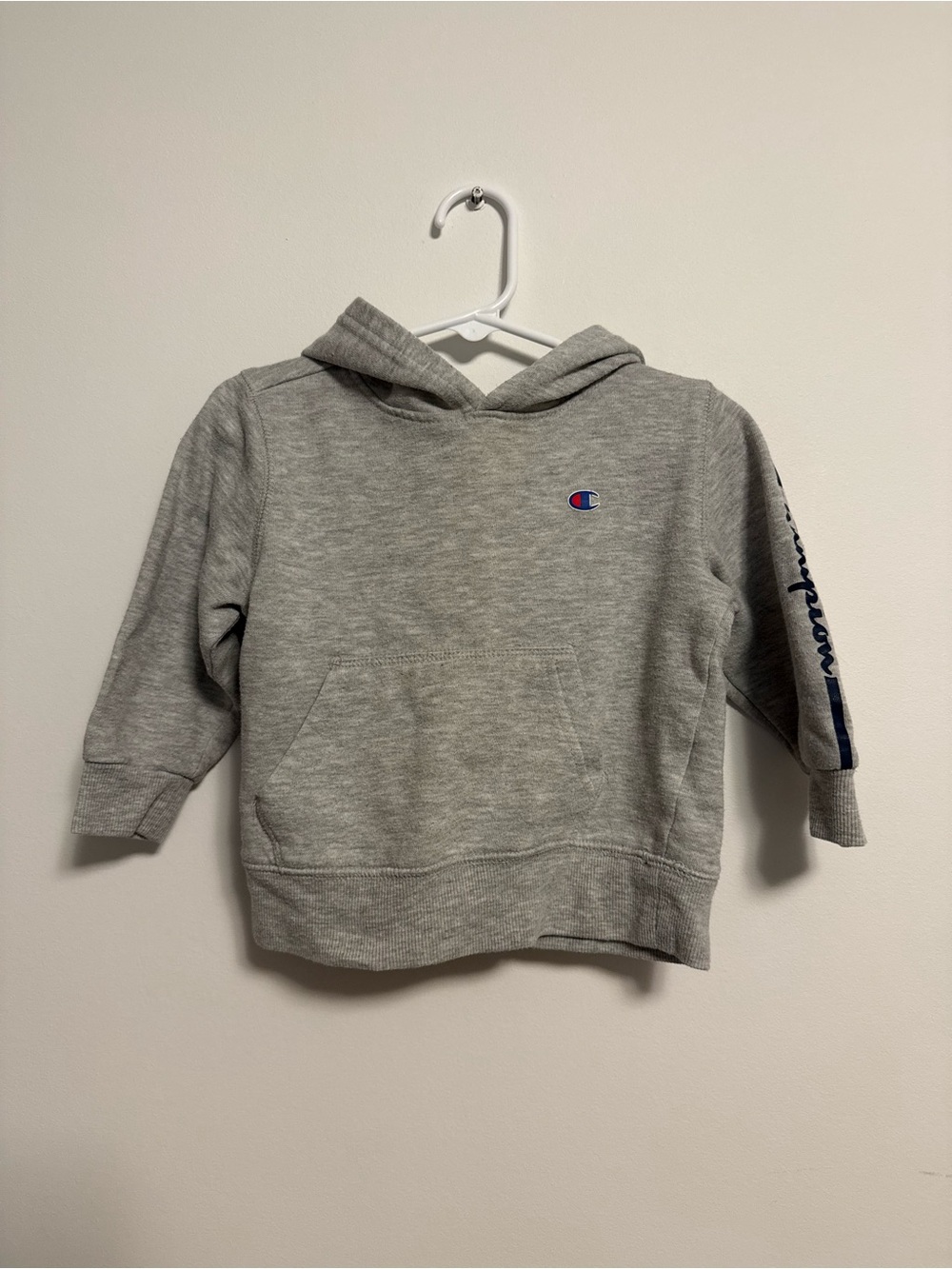 Champion Toddler Grey Hooded Sweatshirt